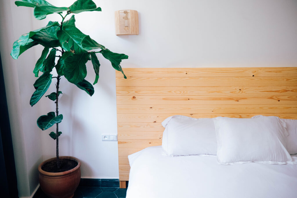 Chambre Double Vue Jardin