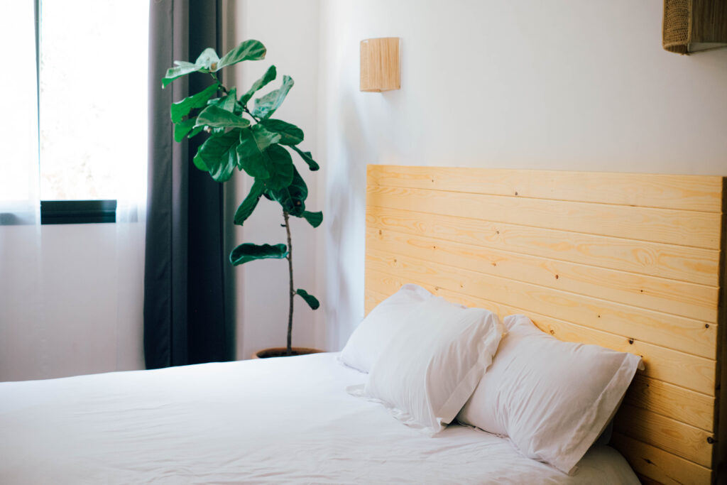 Chambre Double Vue Jardin