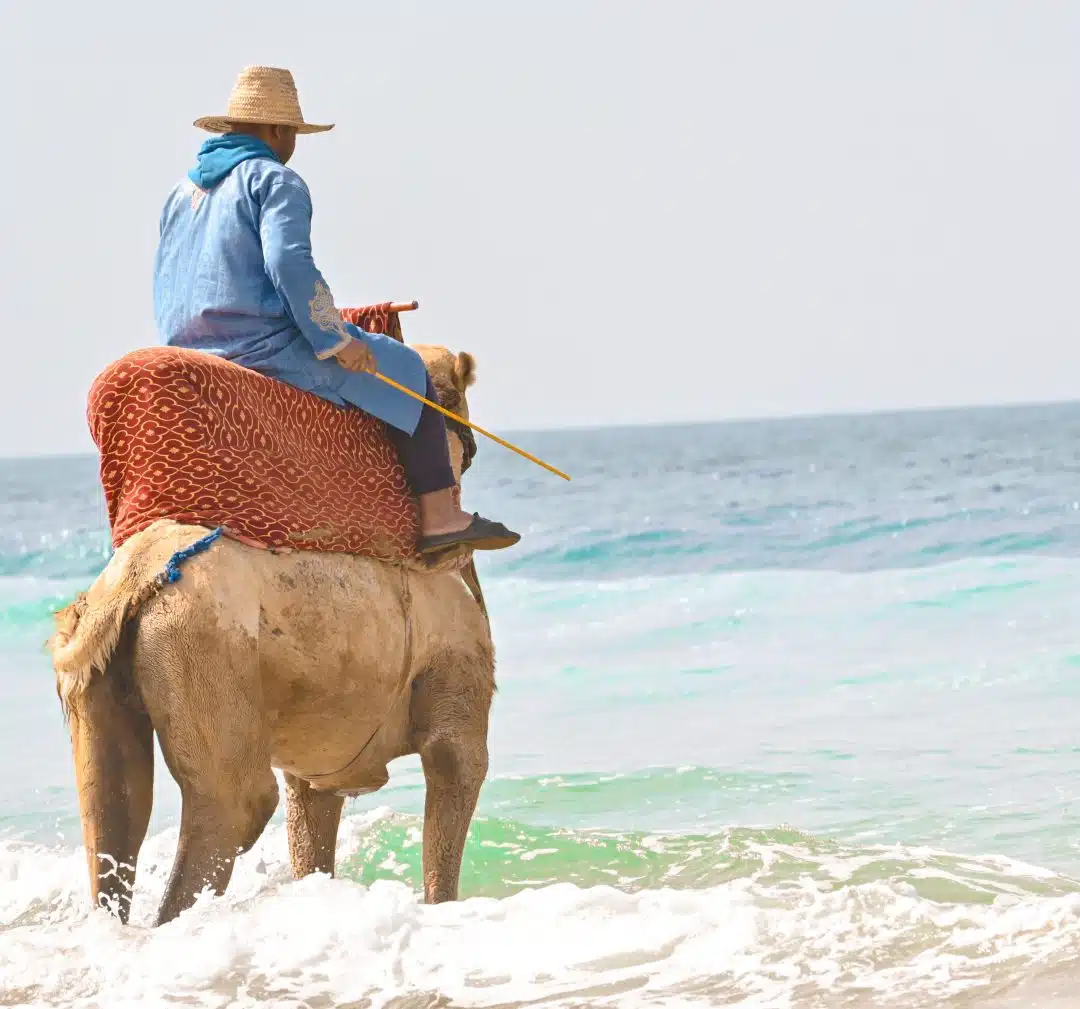 From solo travelers to surf families, every wave brings new friends. Salty hair, sandy feet, happy hearts.” Does…